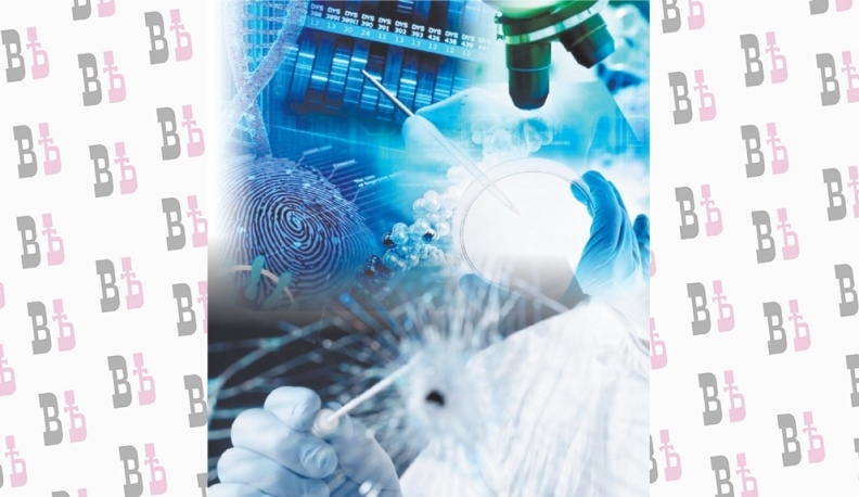 Без срока давности