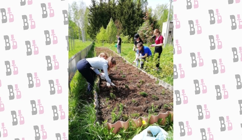 По секрету всему свету