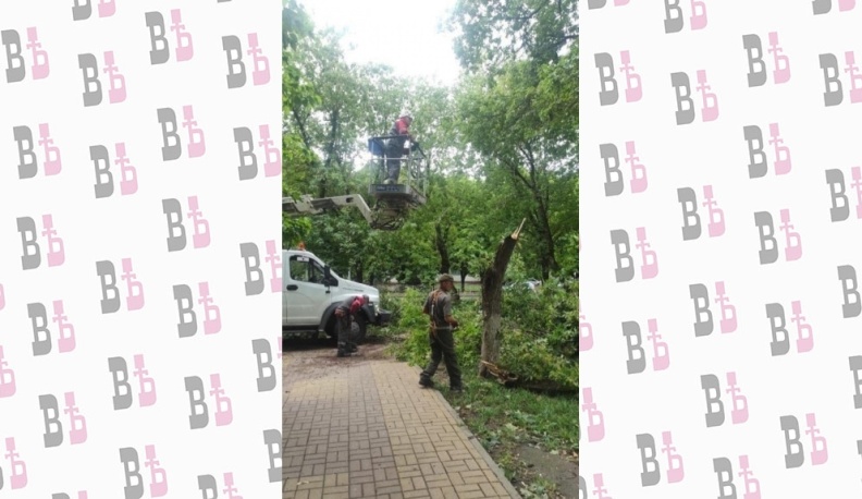 В Калуге продолжаются работы по уборке упавших в ураган деревьев