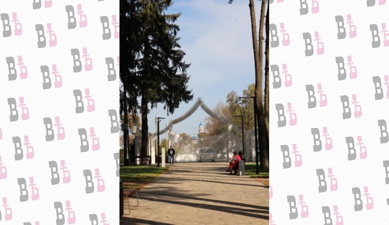 Где липы и ели шумят на ветру…