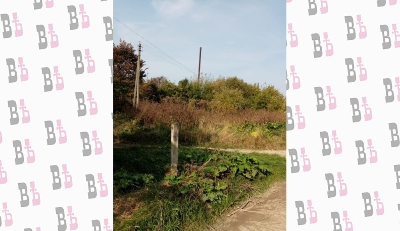 Село Авчурино зарастает борщевиком