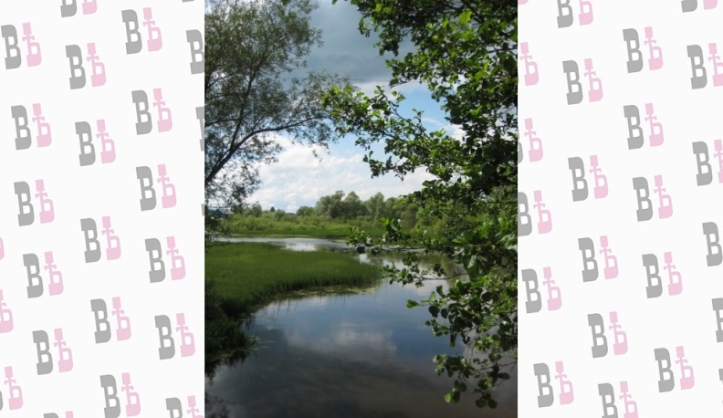 В Калужской области утвердили границы памятника природы у реки Ниги