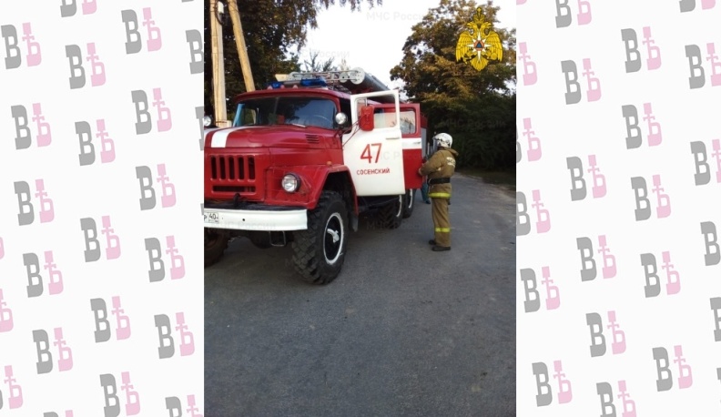 В Калужской области легковушка сбила мопед 