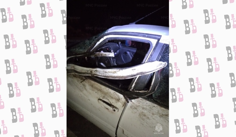 В Бабынинском районе "Датсун" сбил животное