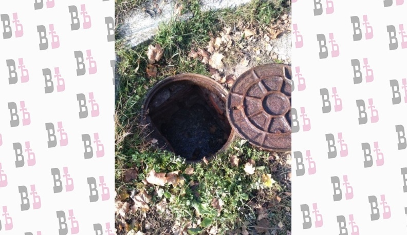 Шаланды, полные фекалий