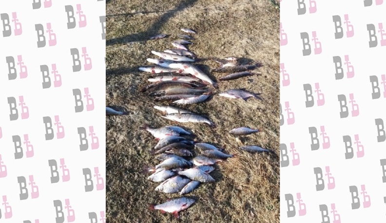 В Национальном парке «Угра» задержали браконьера