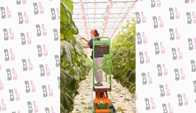 Людиновские товаропроизводители учатся работать в условиях санкций