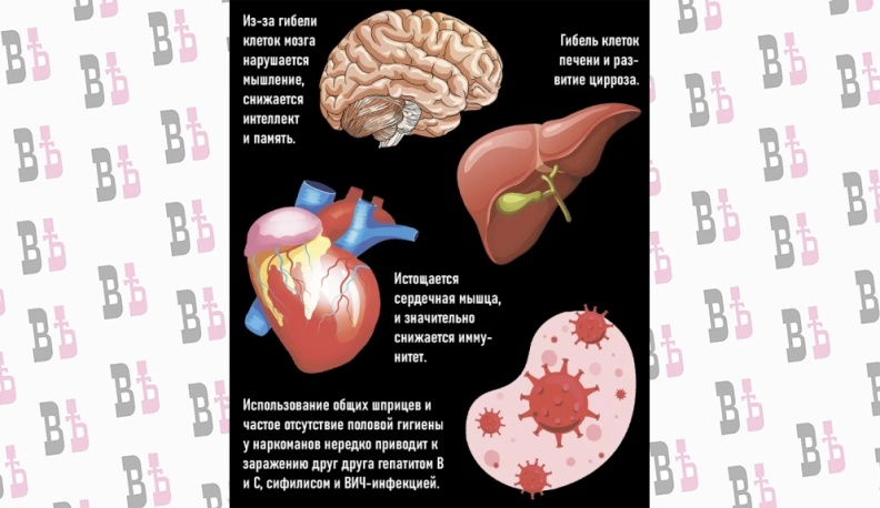 Разрушенная жизнь