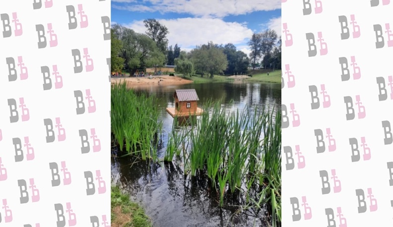 В Калуге на Пуховском пруду установили домик для уток