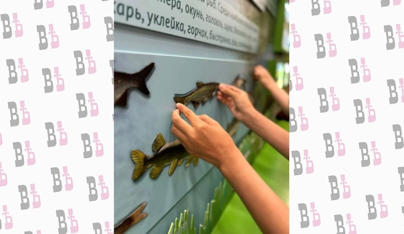 В визит-центре нацпарка «Угра» проходят экскурсии для детей