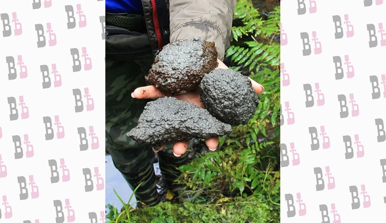 Пирит, окисленный на воздухе.