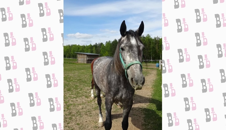 Эй, залётные!