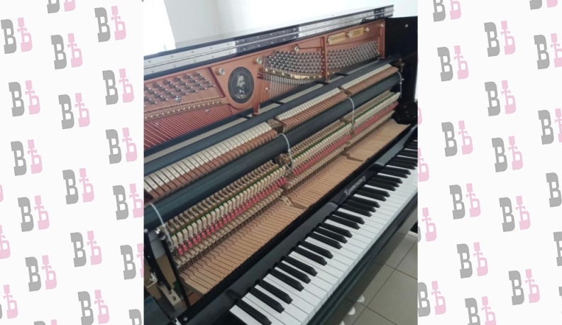 В музыкальную школу Жуковского района закупили новые инструменты и оборудование