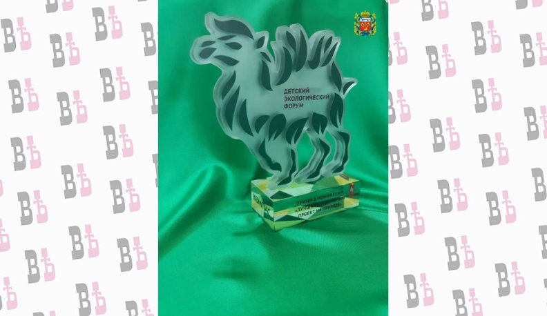 Через калужские болота  к… челябинскому верблюду