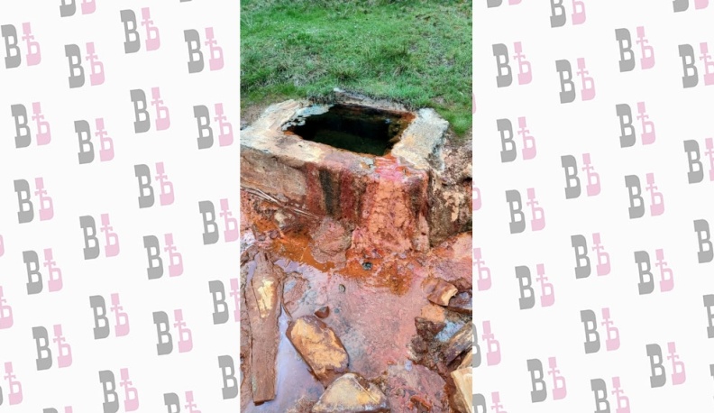 Кровавые травертины в Межгорской котловине (Карпаты)