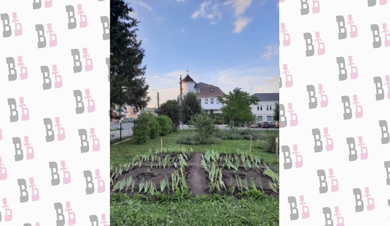 Саду искусств в Тарусе подарили цветочную поляну