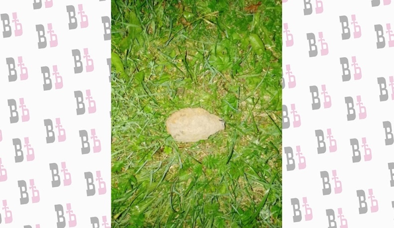 В трех районах Калужской области нашли боеприпасы времен Великой Отечественной войны