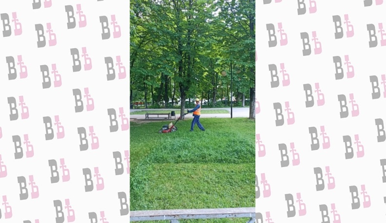 В Калуге окосили траву на площади более 1 млн квадратных метров