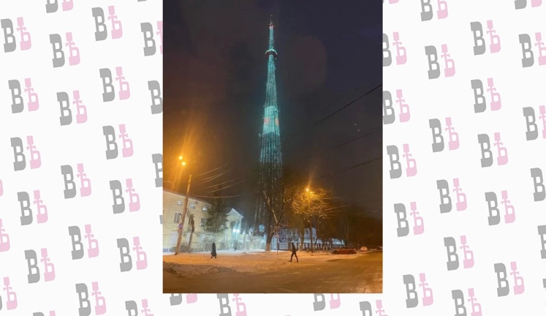 Калужская область участвует в акции «Сохрани лес»