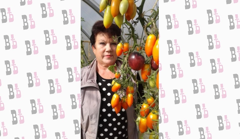 «Пространство для счастья»