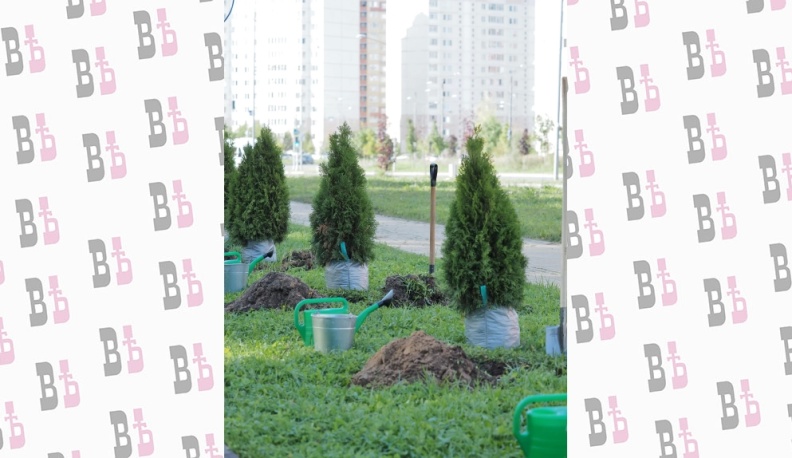 Первая в стране Аллея прав человека появилась в Губернском парке Калуги