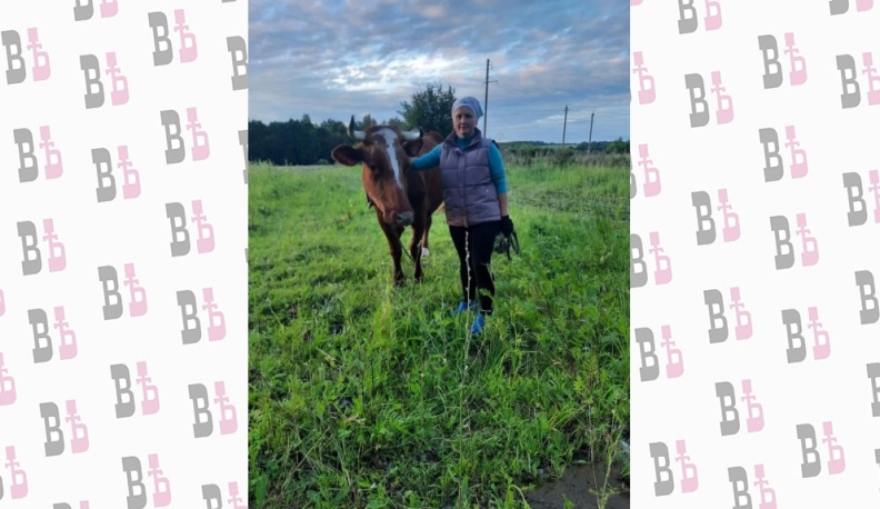 Молоко от Малышки