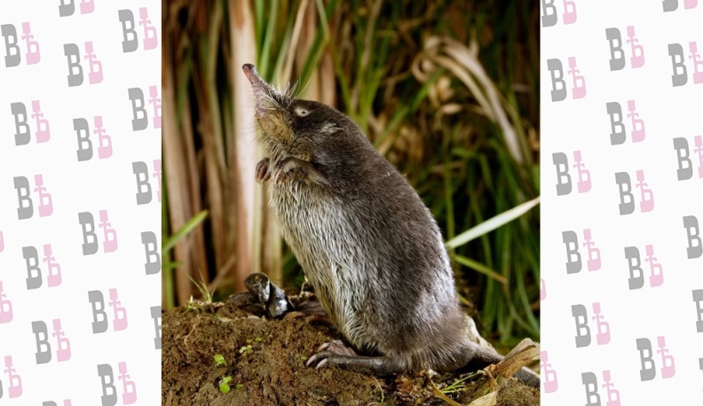 Куда ступали  сапоги учёных?