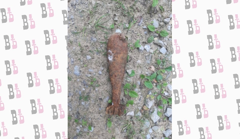 В Калужской области обезвредили четыре минометные мины