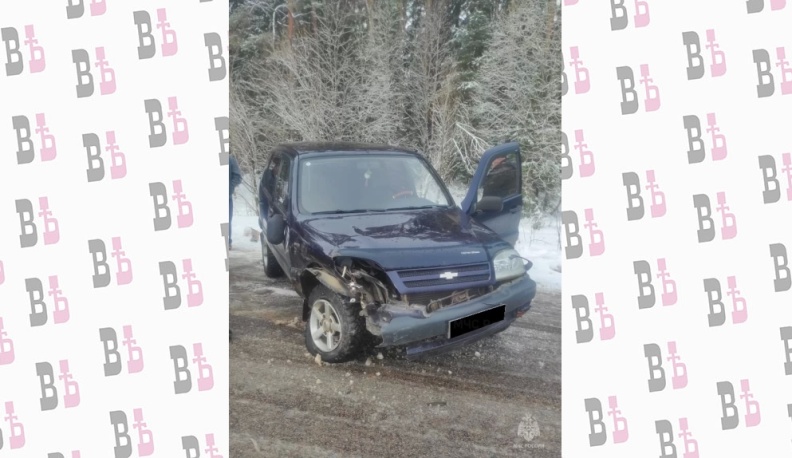 В Калужской области несколько человек пострадали в ДТП