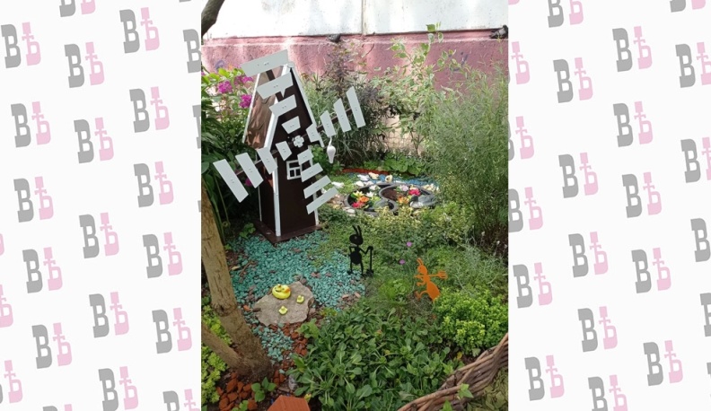 Краски природы  в каждый двор