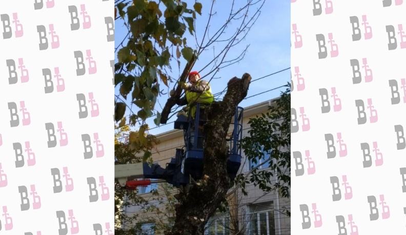 Злато-зелено