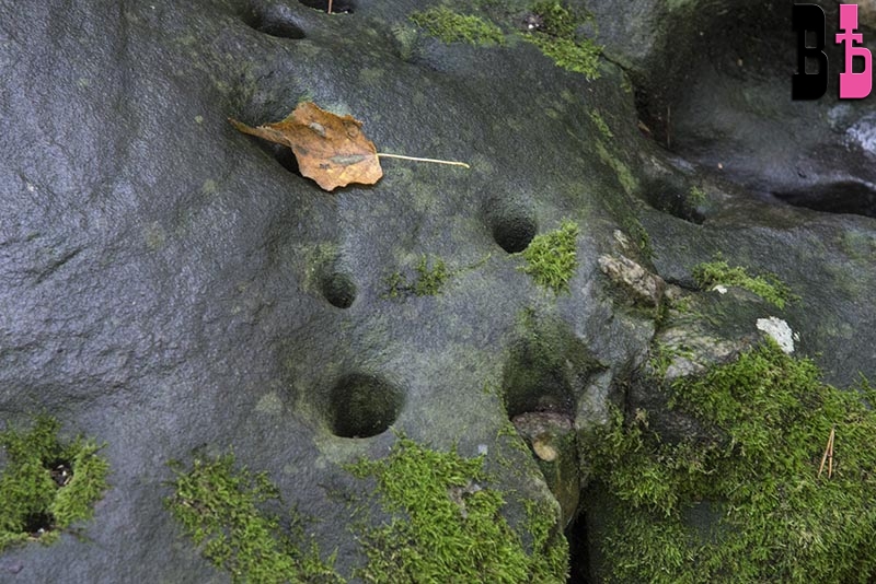 фото Кормильцева _43.jpg
