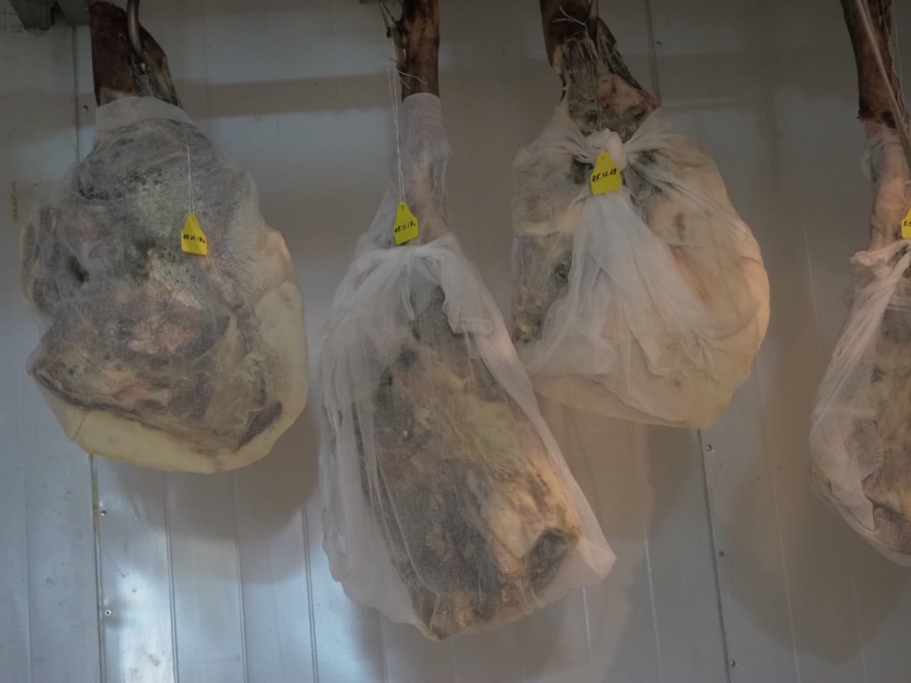 529ef5f2-3df1-485a-876f-5fe7cfc9e015.jpg 529ef5f2-3df1-485a-876f-5fe7cfc9e015.jpg