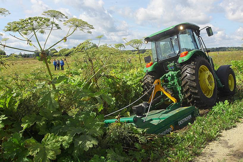борьба с борщевиком.jpg