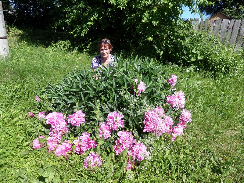 Антонина Иванова.JPG