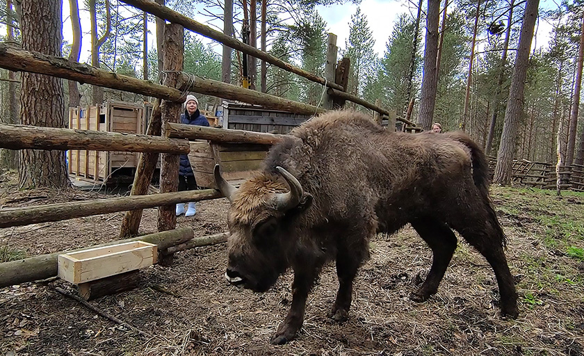 фото 3.jpg фото 3.jpg