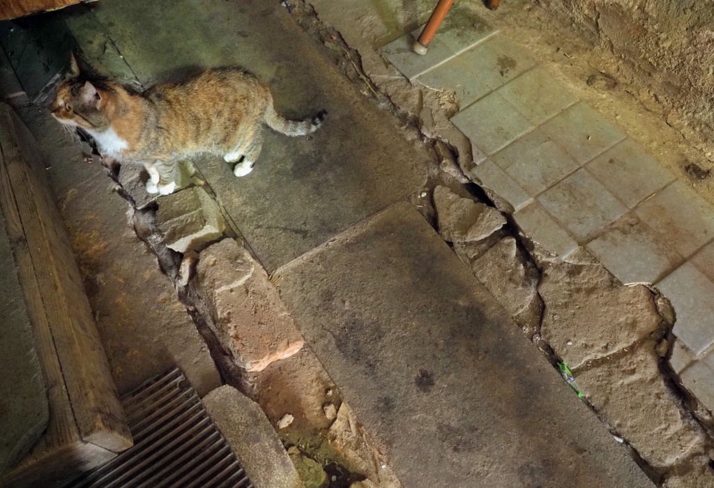 Дом в Боровске.JPG