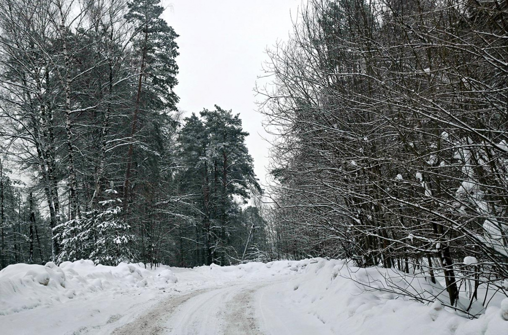 DSC_3286_новый размер1.jpg