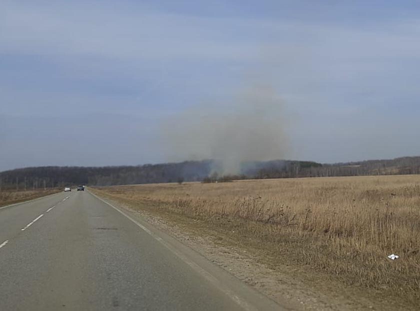 WhatsApp Image 2020-03-29 at 17.27.39.jpg