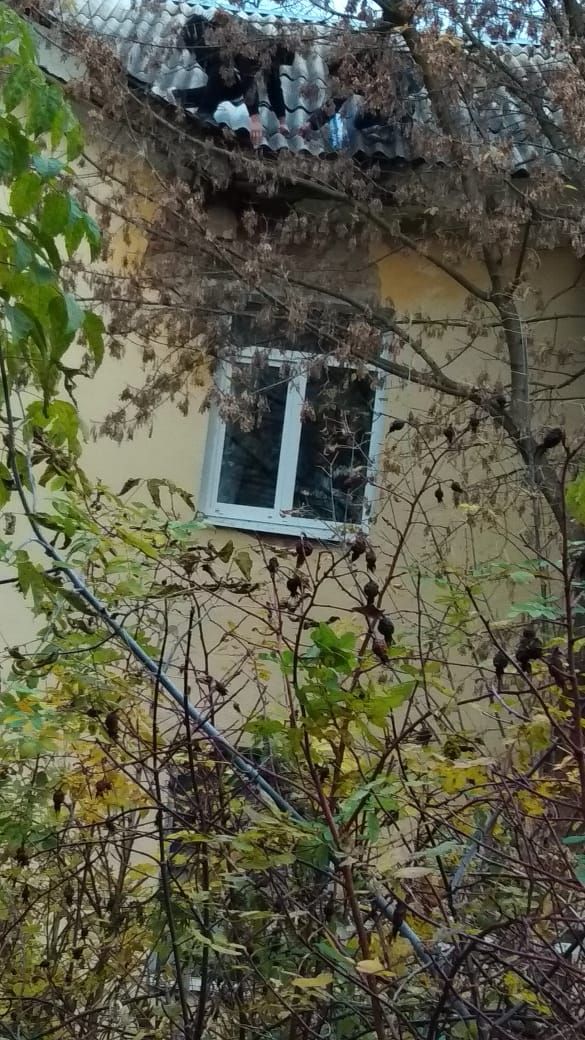 Жильцы на кровле.jpg