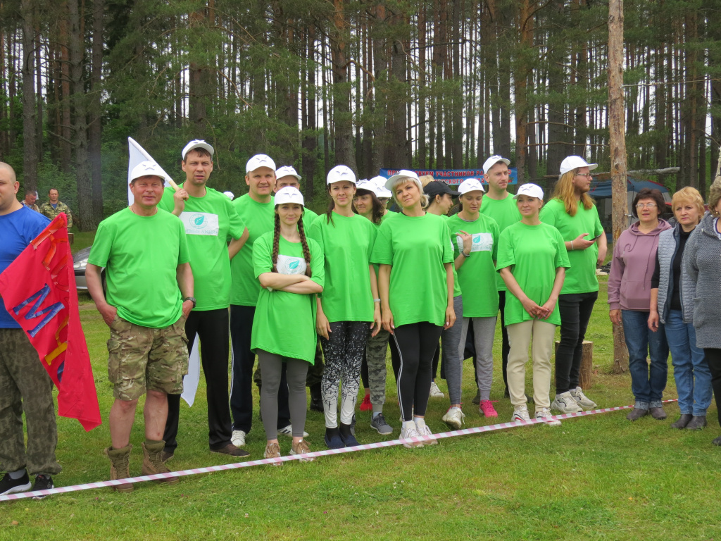 Зелёные линии.JPG