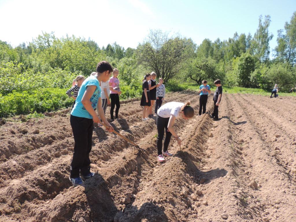 На пришкольном участке.JPG