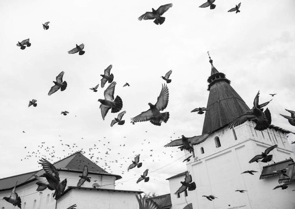 фото Кормильцева .jpg