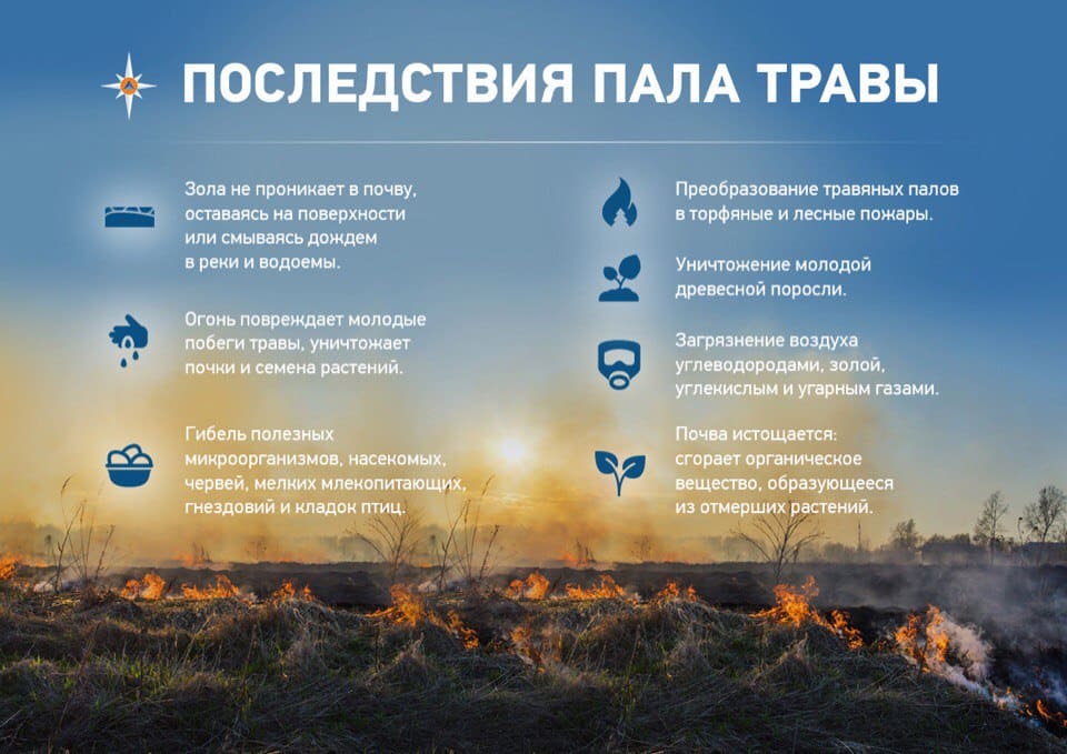 Плакат пал травы.jpg