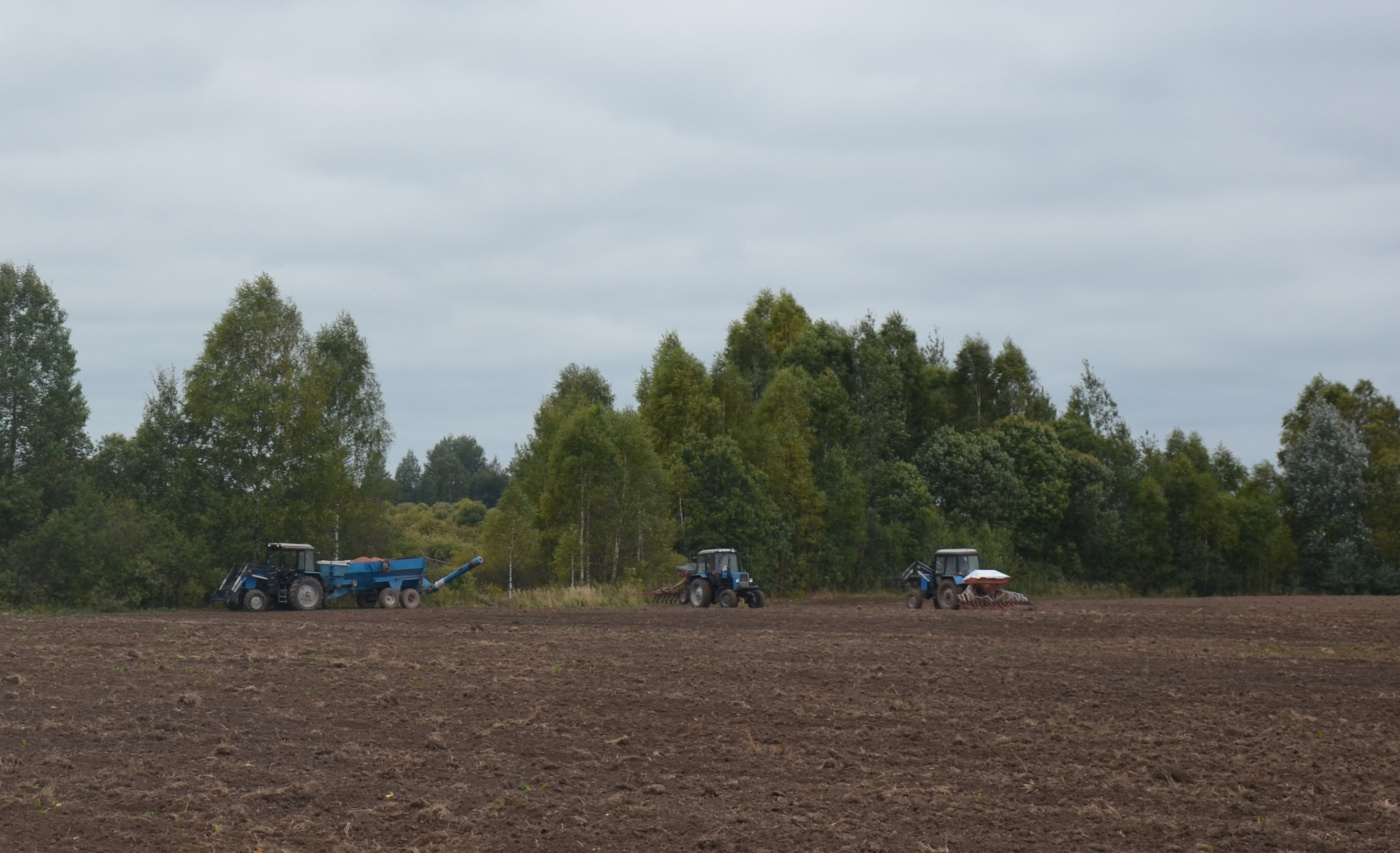 Сев озимых.jpg