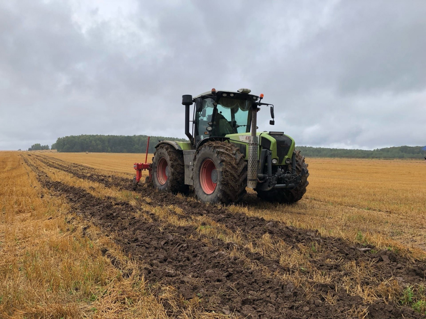 Использование мелиоративной бороны.jpg