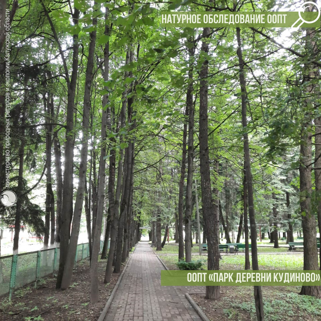 HNPOkaDawTU.jpg HNPOkaDawTU.jpg