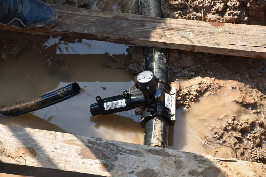 dsc_0197(1).jpg dsc_0197(1).jpg