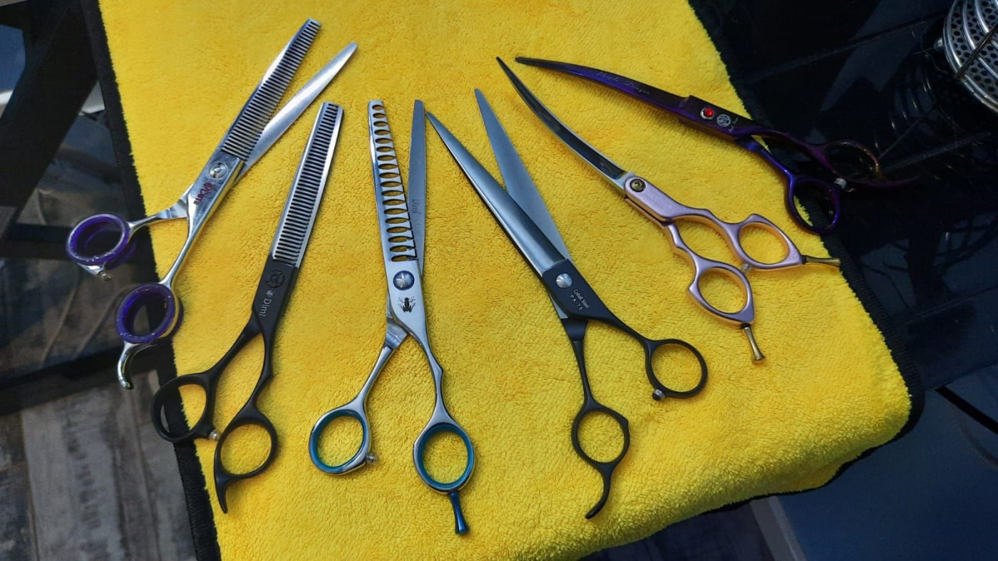 WhatsApp Image 2022-09-13 at 14.21.25.jpg