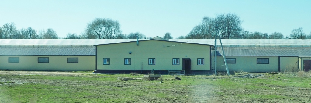 Ферма после реконструкции.JPG